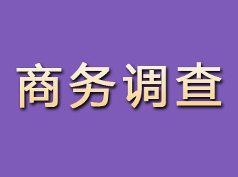 牟定商务调查